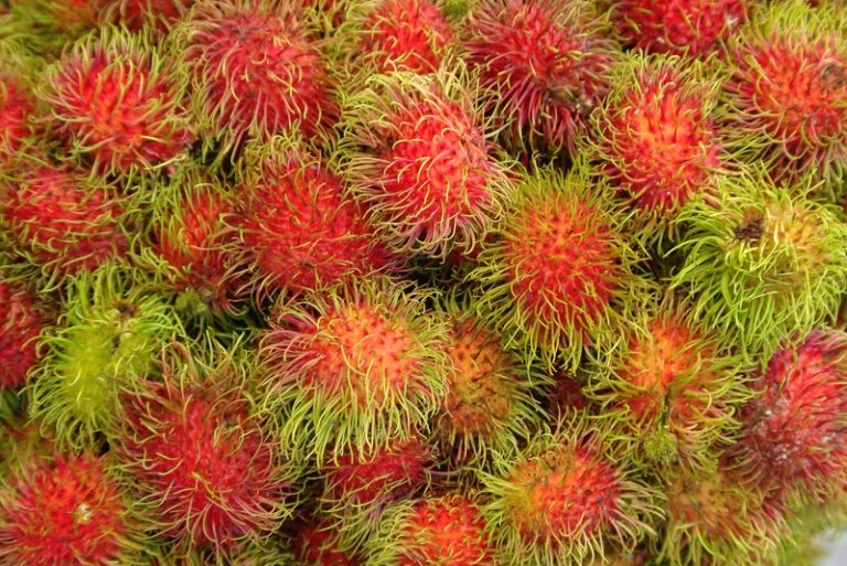 Tropical Fruits of Koh Lanta
