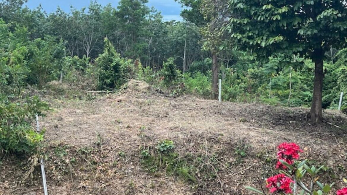 Land for Sale Koh Lanta